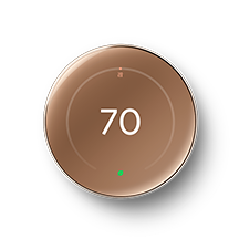 Nest